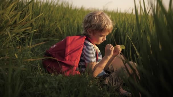 Ребенок делает наброски снов в блокноте в зеленой траве — стоковое видео