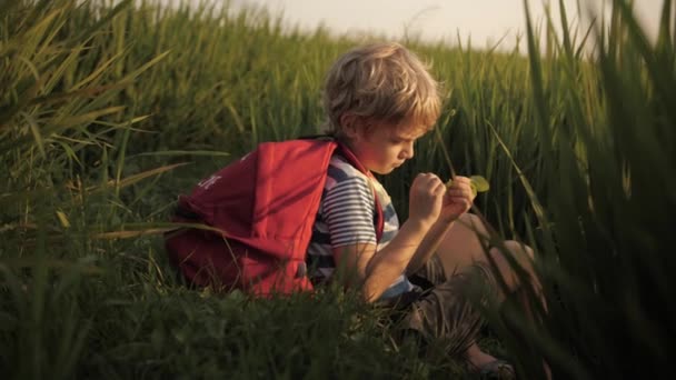 Niño hace bocetos de sueños en cuaderno en hierba verde — Vídeos de Stock