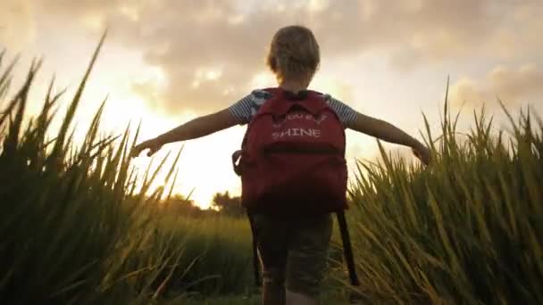 Kind in het groene gras van rijst veld op weg naar huis van school. — Stockvideo