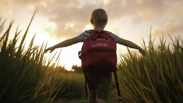 Niño en la hierba verde del campo de arroz camino a casa de la escuela . — Vídeo de stock