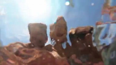 Yaz tatilinde deniz plajında eğlenen mutlu aile.