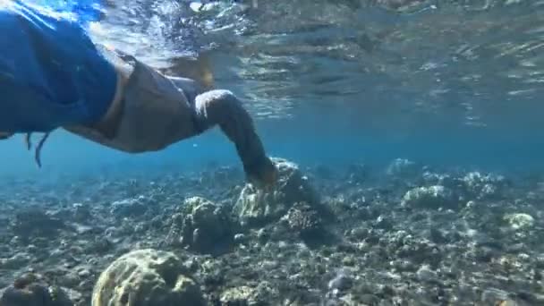 Snorkelen kind duiken in helder blauw Oceaan water met prachtige kleurrijke vissen — Stockvideo