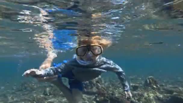 Mergulho criança snorkel em água do oceano azul claro com belos peixes coloridos — Vídeo de Stock