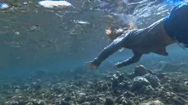 美しいカラフルな魚と澄んだ青い海水でシュノーケリング子供のダイビング — ストック動画