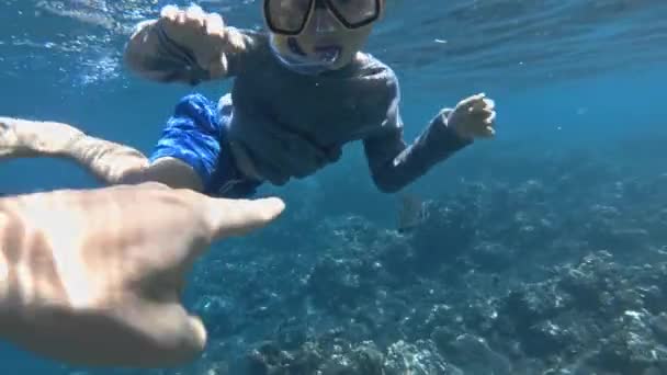 Κολύμβηση με αναπνευστήρα παιδιά καταδύσεις σε καθαρό γαλάζιο νερό του ωκεανού με όμορφα πολύχρωμα ψάρια — Αρχείο Βίντεο