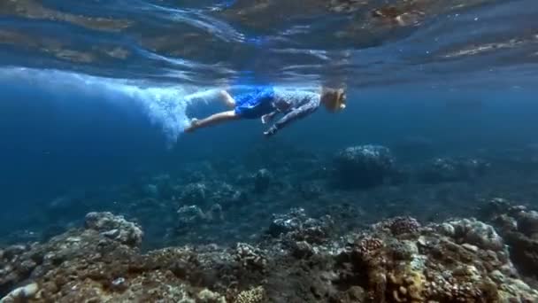 Snorkeling child diving in clear blue ocean water with beautiful colorful fishes — Stock Video