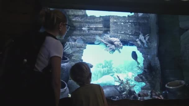 Kind met moeder bij aquarium kijkend naar prachtige vissen zwemmend in aquarium — Stockvideo