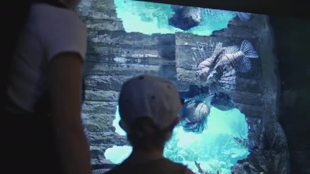 水槽で泳ぐ美しい魚を見て水族館で母親と子供 — ストック動画