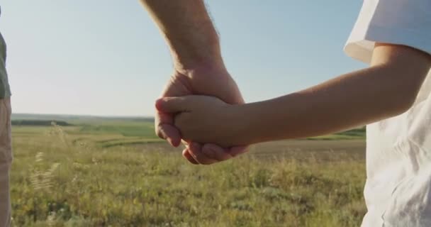 Close up of child and father hands at the sunset — Stock Video
