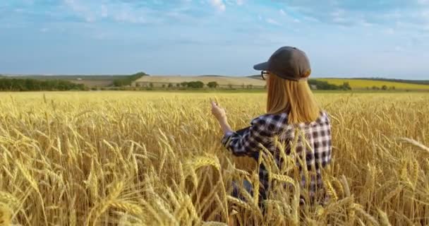 Farmářka-agronomka s přenosným tabletovým počítačem — Stock video