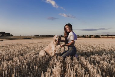 gün batımında sarı bir alanda onu altın retriever köpek ile yürüyüş genç güzel kadın. Doğa ve yaşam tarzı açık havada