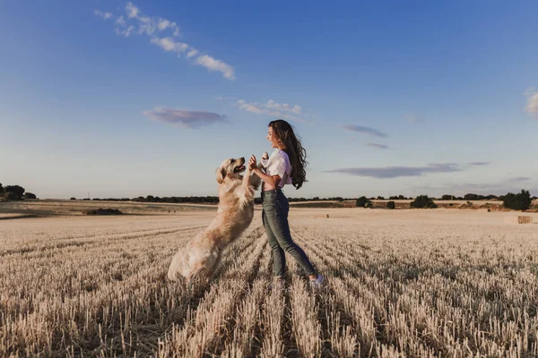 Wanita Cantik Berjalan Dengan Anjing Golden Retriever Nya Lapangan Kuning — Stok Foto