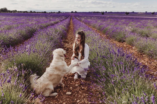 Wanita Cantik Dengan Anjing Retriever Emasnya Padang Lavender Saat Matahari — Stok Foto