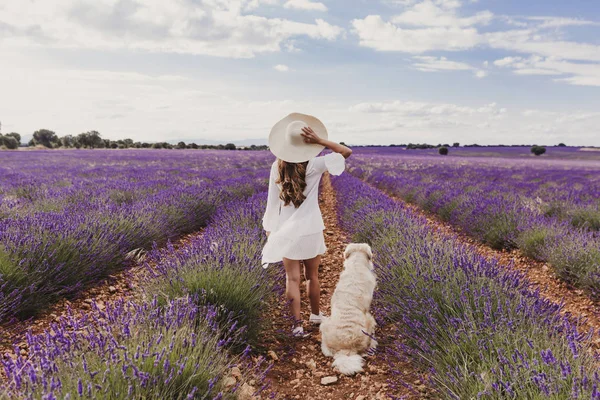 Wanita Cantik Dengan Anjing Retriever Emasnya Padang Lavender Saat Matahari — Stok Foto