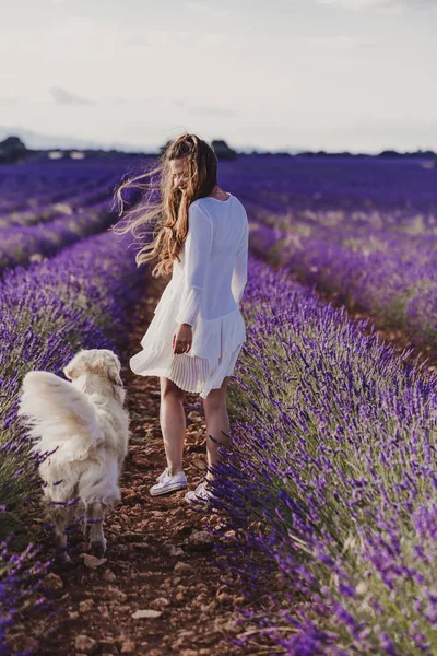 Wanita Cantik Dengan Anjing Retriever Emasnya Padang Lavender Saat Matahari — Stok Foto