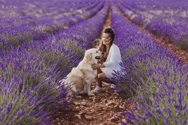 Wanita Cantik Dengan Anjing Retriever Emasnya Padang Lavender Saat Matahari — Stok Foto