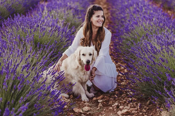 Красива Жінка Своїм Золотим Собакою Ретривером Лавандових Полях Заході Сонця — стокове фото