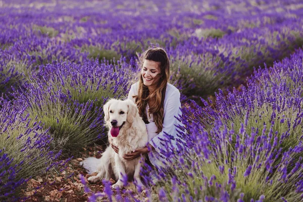 Wanita Cantik Dengan Anjing Retriever Emasnya Padang Lavender Saat Matahari — Stok Foto