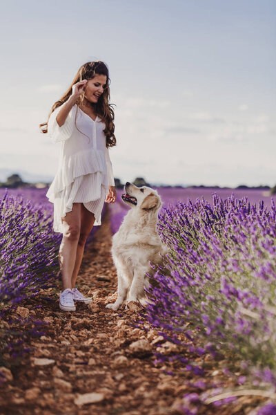 Beautiful Woman Her Golden Retriever Dog Lavender Fields Sunset Pets Royalty Free Stock Photos