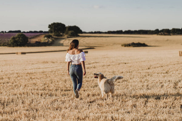 Young Beautiful Woman Walking Her Golden Retriever Dog Yellow Field Royalty Free Stock Images