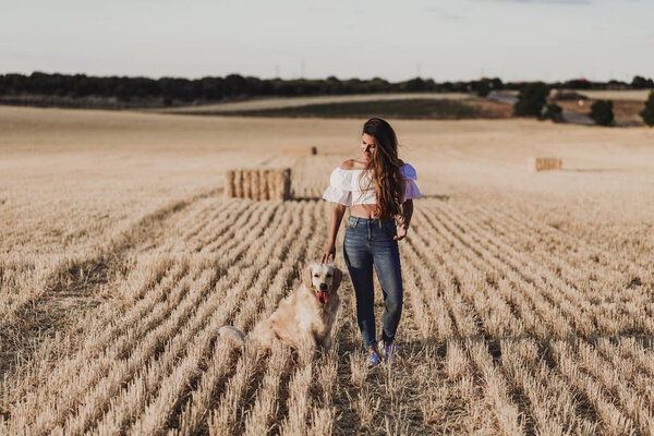 Young Beautiful Woman Walking Her Golden Retriever Dog Yellow Field Stock Photo