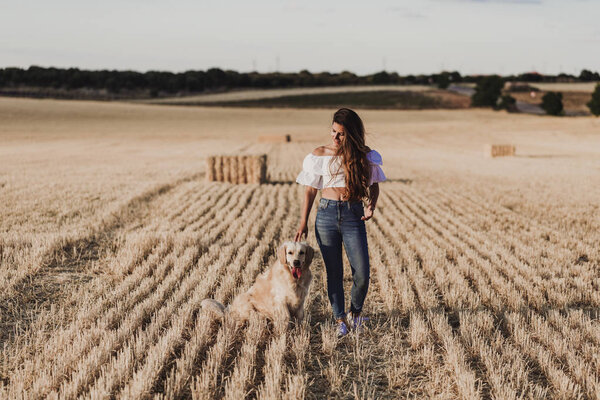 Young Beautiful Woman Walking Her Golden Retriever Dog Yellow Field Royalty Free Stock Images