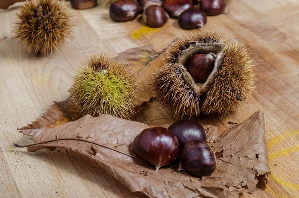 Tre Castagne Buccia Foglia Autunnale Sensazione Autunnale — Foto Stock