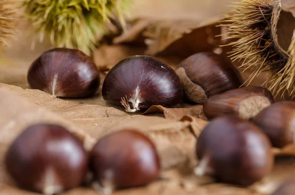 Een Groep Van Kastanjes Grond Herfst Bladeren — Stockfoto