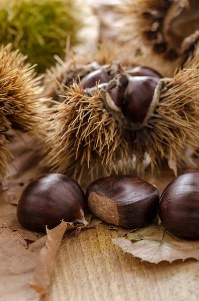 Drie Kastanjes Een Rij Een Houten Tafel — Stockfoto