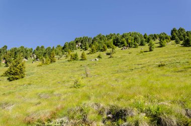 Yaz aylarında buzul Gölü ile İtalyan Alplerinin ortasından geçiyordu doğal peyzaj