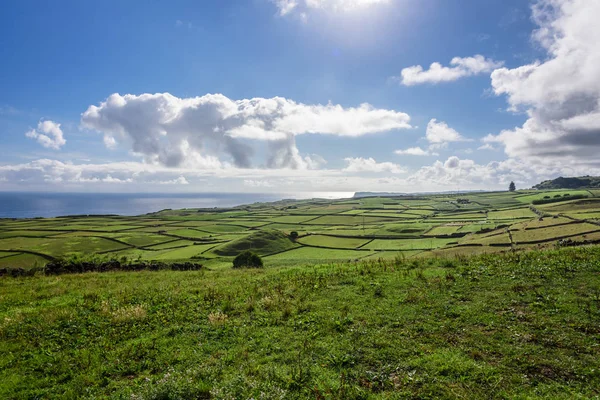 Yeşil Manzara Terceira Azores Portekiz Görünümünü — Stok fotoğraf