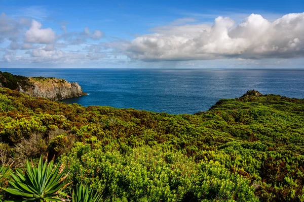 Paisaje en terceria — Foto de Stock