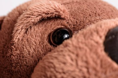 Pofuduk, kahverengi ve tüylü bir köpeğe yakın durun. oyuncak, hayvan, çocuk, çocukluk.