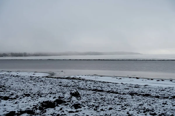 Litoral Coberto Neve Algas Marinhas Inverno — Fotografia de Stock