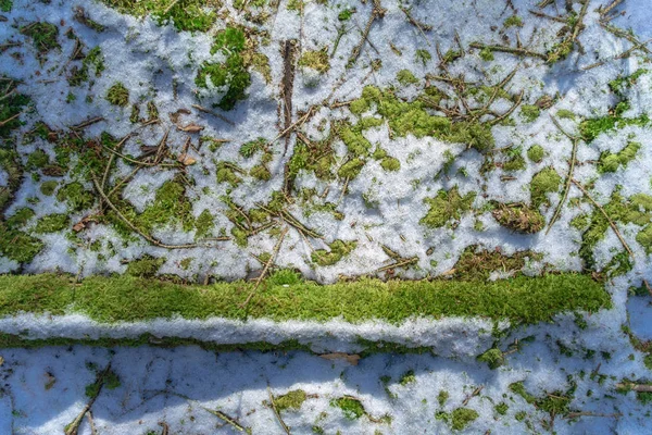 Půdě Pokryté Mechem Sníh Brzy Jaře — Stock fotografie