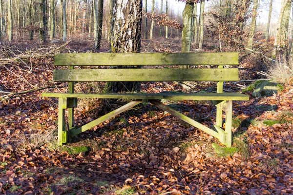 Eski yeşil tezgah üzerinde bir ormanda dinlenmeye