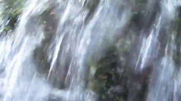 Ruisseau d'eau Gros plan au printemps 