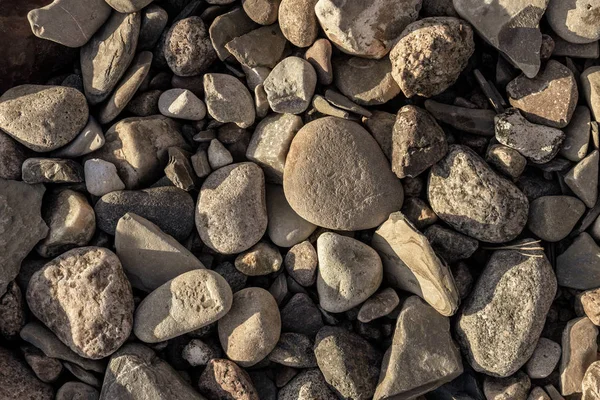 해안에 있는 작은 돌들 — 스톡 사진