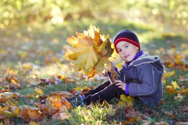 Sonbahar bir buket ile parkta oturan boy gülümseyerek güneşin altında bırakır.
