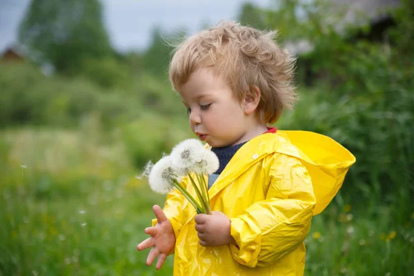 黄色のレインコートで小さな子供が夏の日のカウチ ポテト族の花束を吹く — ストック写真