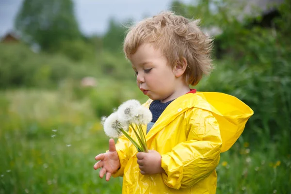 Een Klein Kind Een Gele Regenjas Blaast Een Boeket Van — Stockfoto