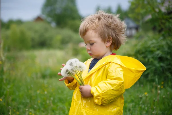 Een Klein Kind Een Gele Regenjas Blaast Een Boeket Van — Stockfoto
