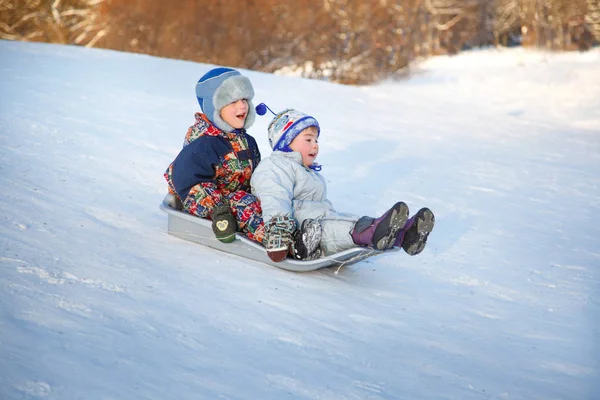 Duas Crianças Alegres Escorregando Pelas Colinas Dia Inverno — Fotografia de Stock