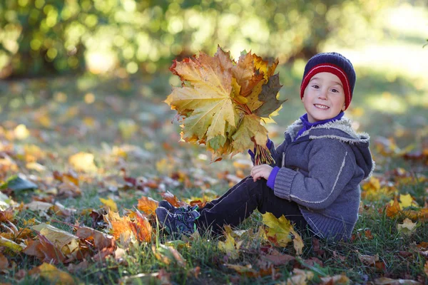 Cute Boy Sitting Park Bouquet Autumn Leaves Hands — Stock Photo, Image