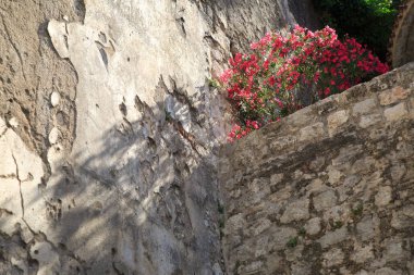 Arka plan üzerinde eski ortaçağ şehir duvarları.