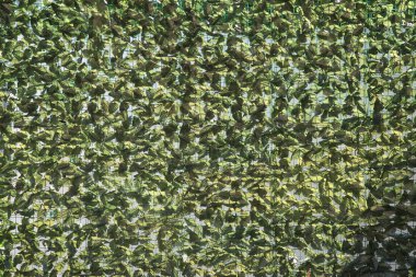 Yeşil çiçekli arka plan.