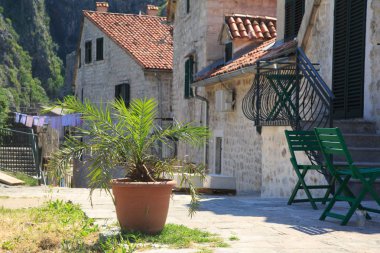 Akdeniz Kent güneşli bir günde bir avluda zemin karşı bir tencerede palmiye ağaçları.