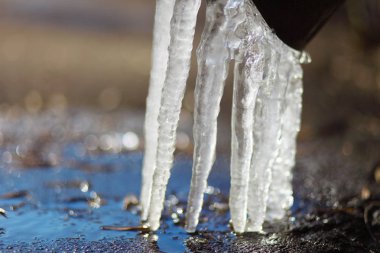 Bahar buz sarkıtları borunun sonunda.