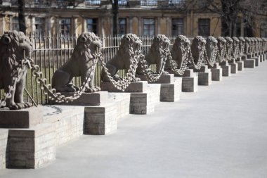 Bir grup heykel bir zincir onların dişler, St. Petersburg tutan aslanlar şeklinde.