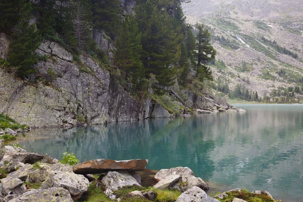 Costa Lago Montanha Com Uma Floresta Conífera Refletida Água Altai — Fotografia de Stock